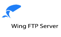 WftpServer Coupons